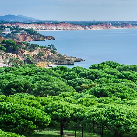 Otel Aqua Pedra Dos Bicos Design - Adults Friendly 4*