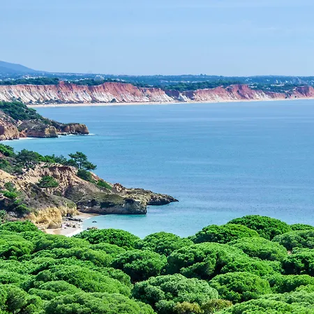 Aqua Pedra Dos Bicos Design - Adults Friendly 4* 알부페이라